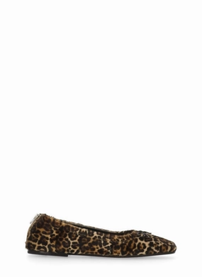 Animalier Ballet Shoes Wind Guard