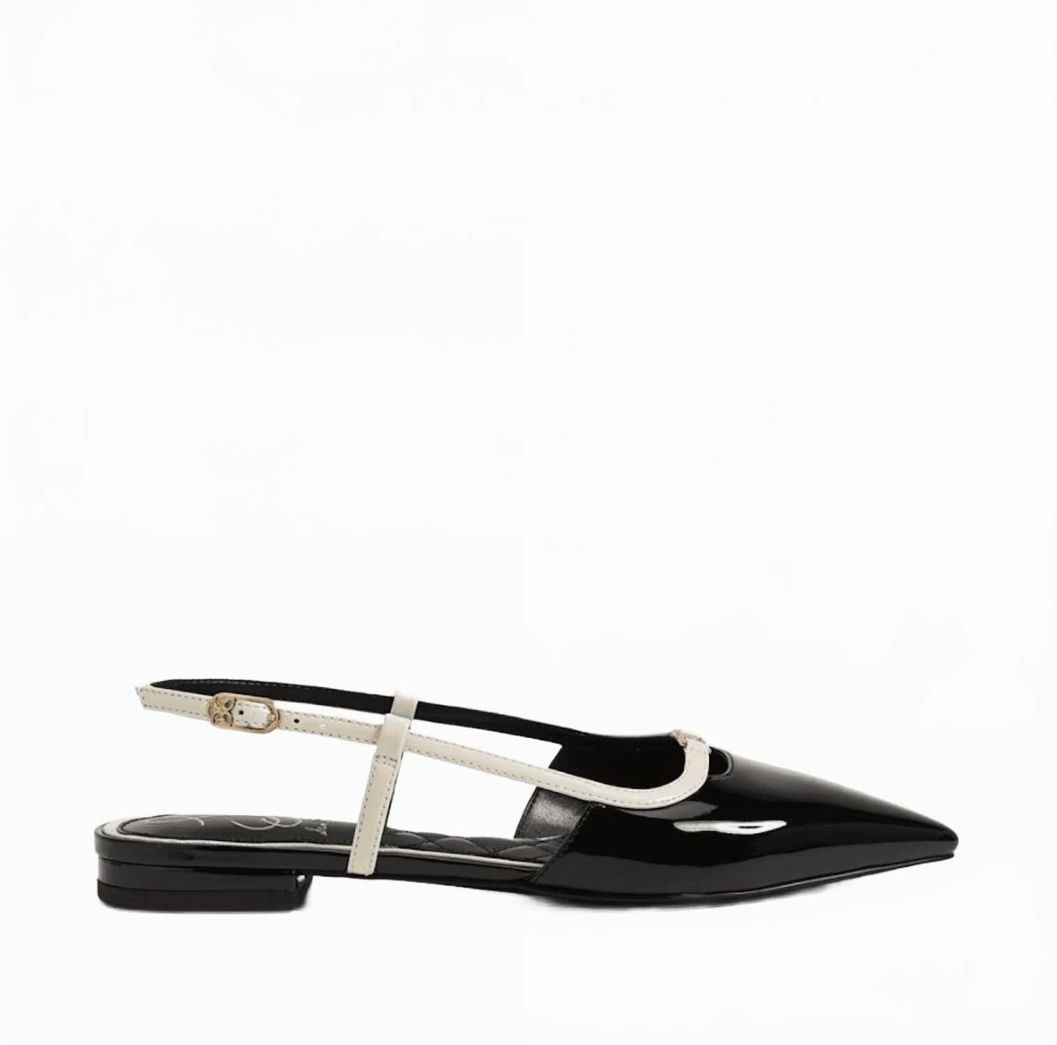 Women's Cohen Slingback Pointy Toe Flats In Black Hope Walk