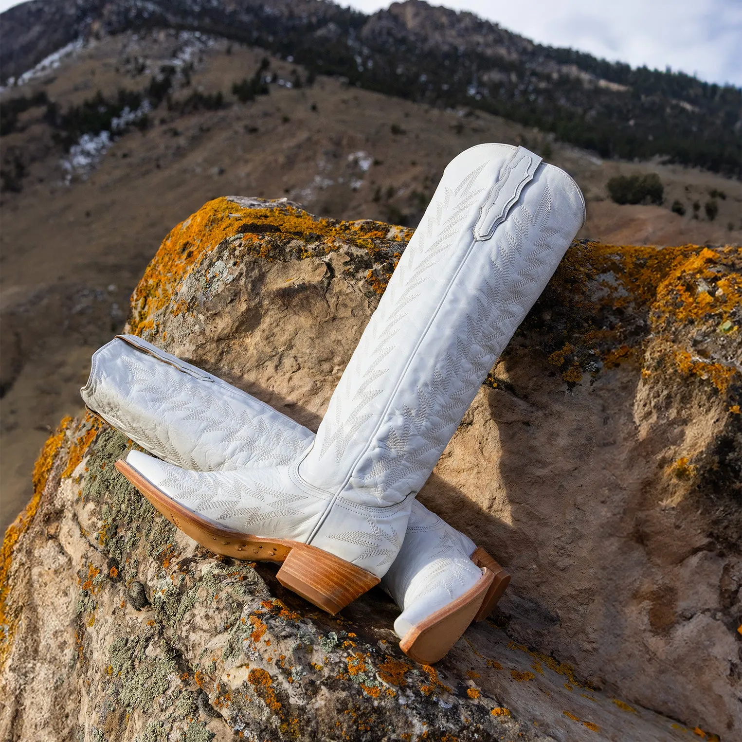 Fashion Accessory Sarah Boots